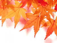 秋の紅葉